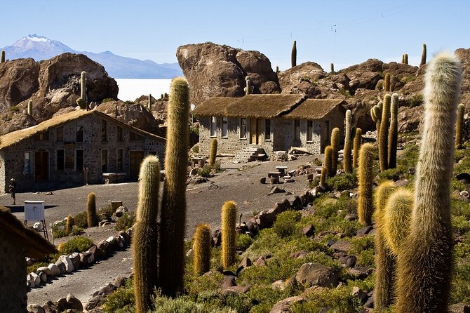 3-Day Uyuni Salt Flat Tour with Sunset and Red Lagoons - Is $300 a fair price?