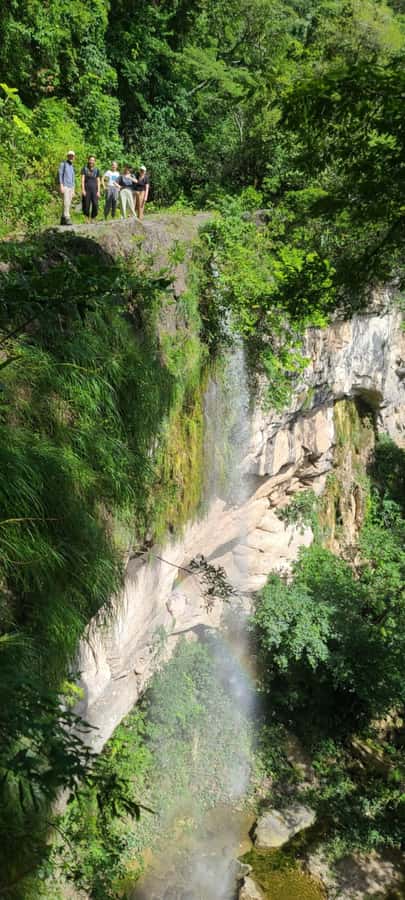 Day Tour / Amboro National Park (north side) - The first hour of walking into the forest