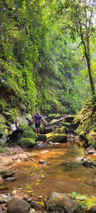 Day Tour / Amboro National Park (north side) - What the six-hour guided portion feels like