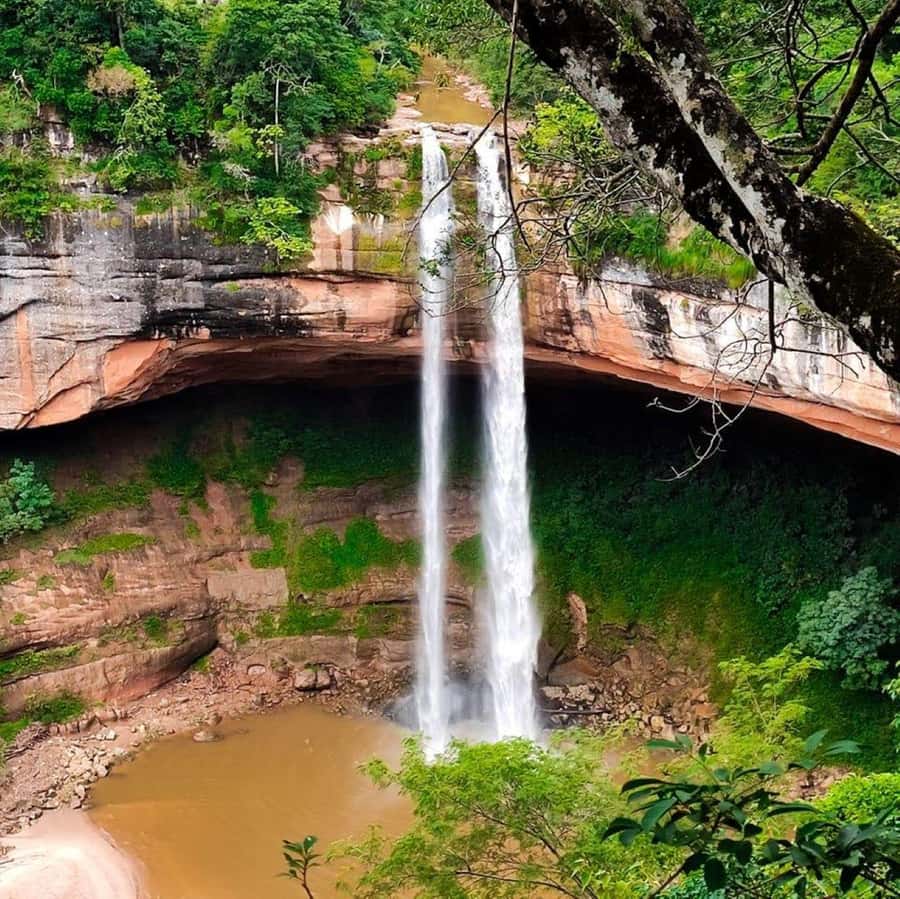 Day Tour Jardin de las Delicias - What the Four-Hour Visit Includes