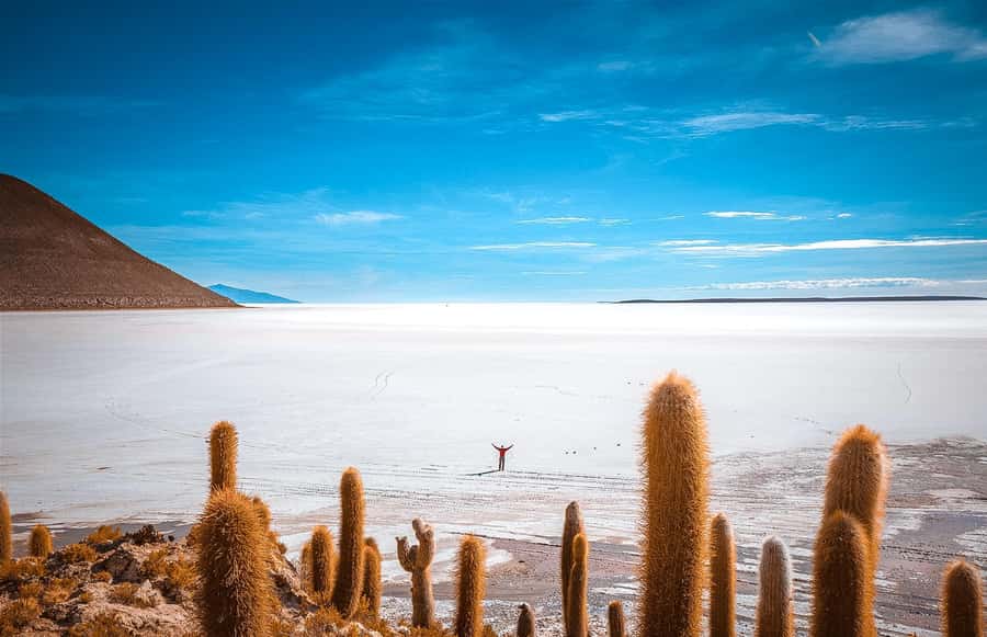 From La Paz: 4-Day Trip to San Pedro de Atacama w/Salt Flats - The overnight ride from La Paz to Uyuni