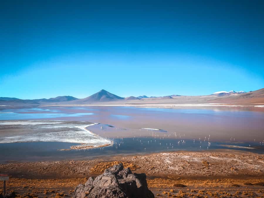 From La Paz: 4-Day Trip to San Pedro de Atacama w/Salt Flats - Food, vehicles, and guide quality