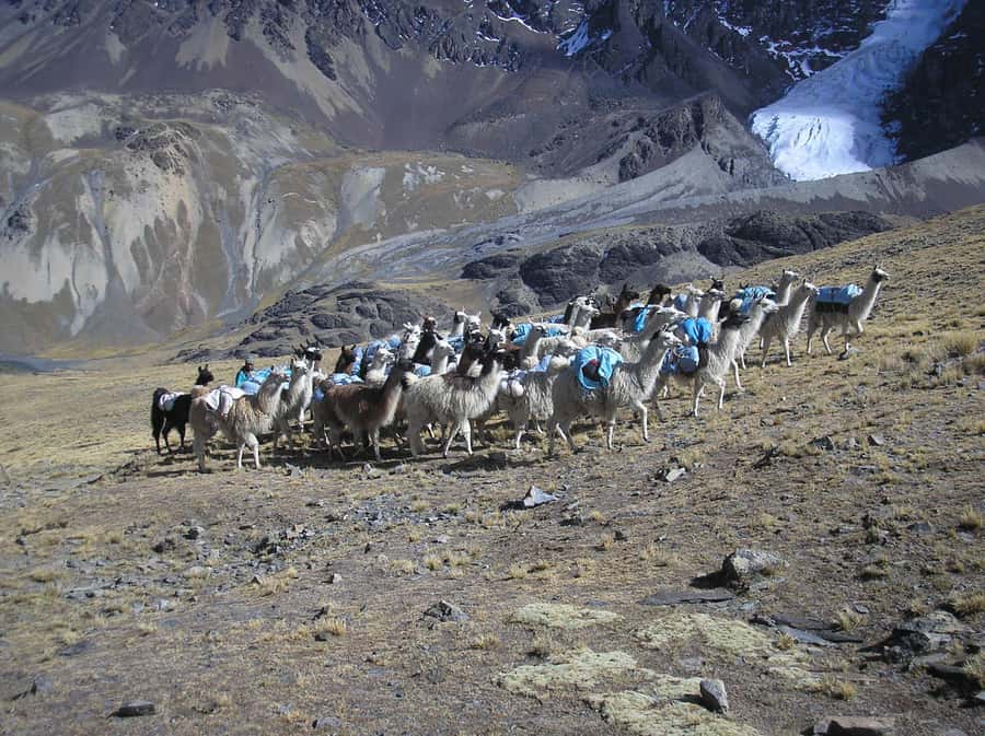 From La Paz: Condoriri Andes, Pico Austria Full Day Hiking - A box lunch and the real value of the $140 price