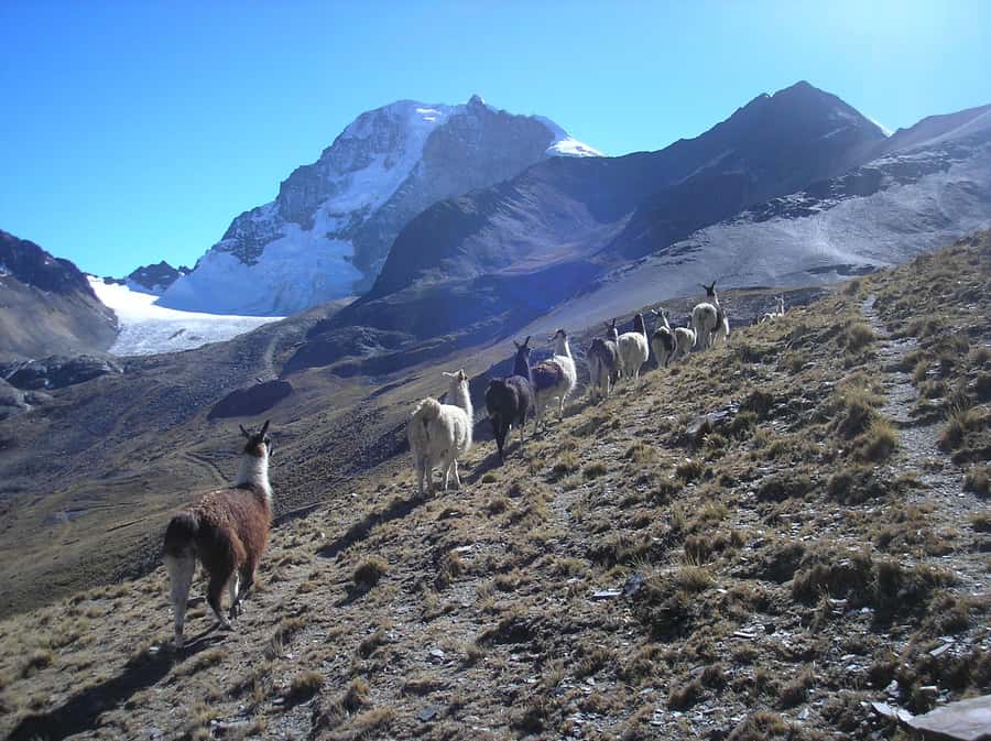 From La Paz: Condoriri Andes, Pico Austria Full Day Hiking - What to pack for Condoriri
