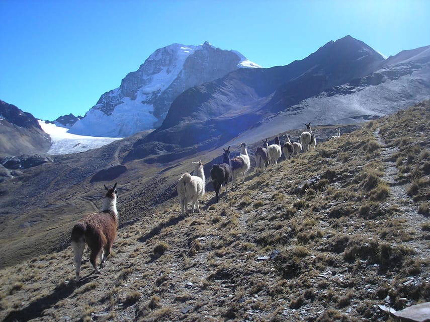 From La Paz: Condoriri Andes, Pico Austria Full Day Hiking - Should you book the Condoriri and Pico Austria tour?