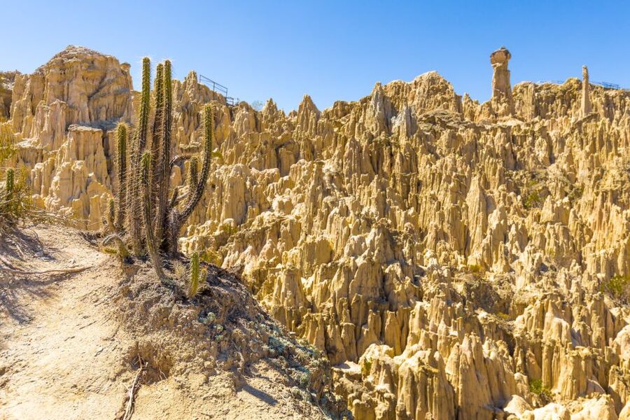 From La Paz: Day Trip to Chacaltaya and Moon Valley - The walk above 5,000 meters