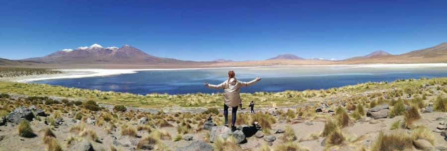 From La Paz: Tiwanaku and Lake Titicaca One-Day Tour - What the $212 price really covers