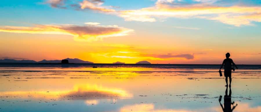 From La Paz: Uyuni Salt Flats 2-Day Tour with Bus Transfers - The overnight bus from La Paz