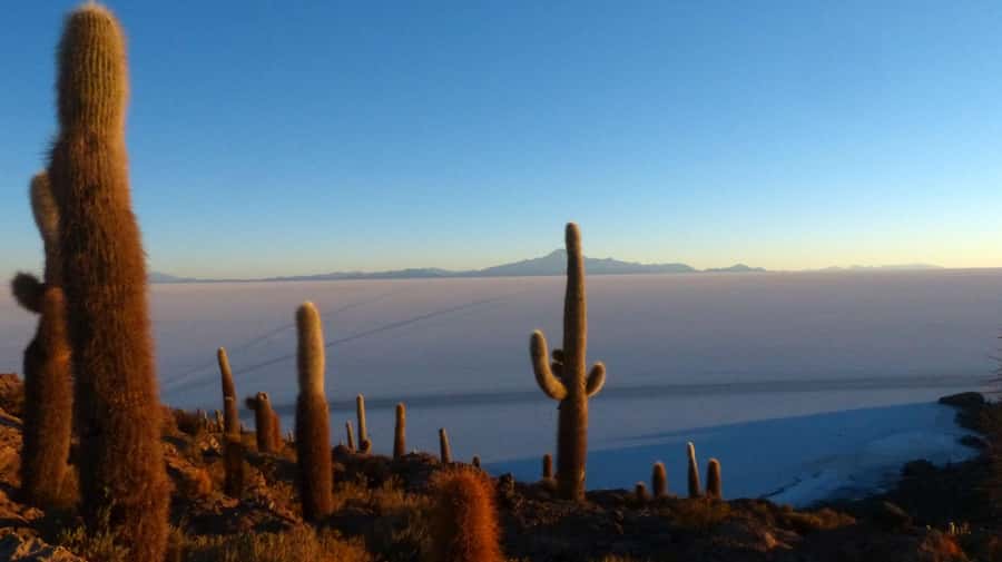 From La Paz: Uyuni Salt Flats & Lagoons 5-Day Tour - The guide, driver, and vehicle matter more than usual