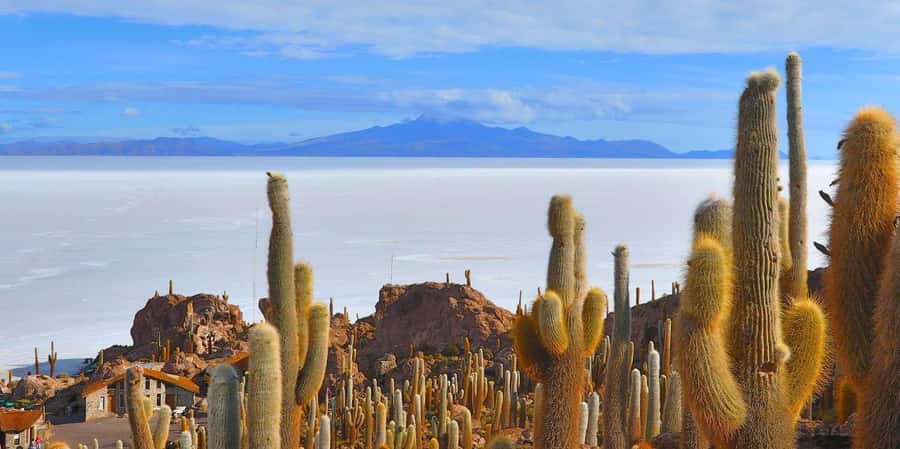 From San Pedro de Atacama: 3 days to Uyuni Salt Flat - From San Pedro to Bolivia’s high plateau