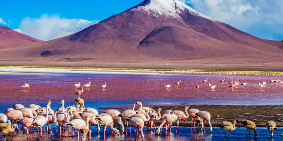 From San Pedro de Atacama: 3 days to Uyuni Salt Flat - What $340 includes, and what it does not