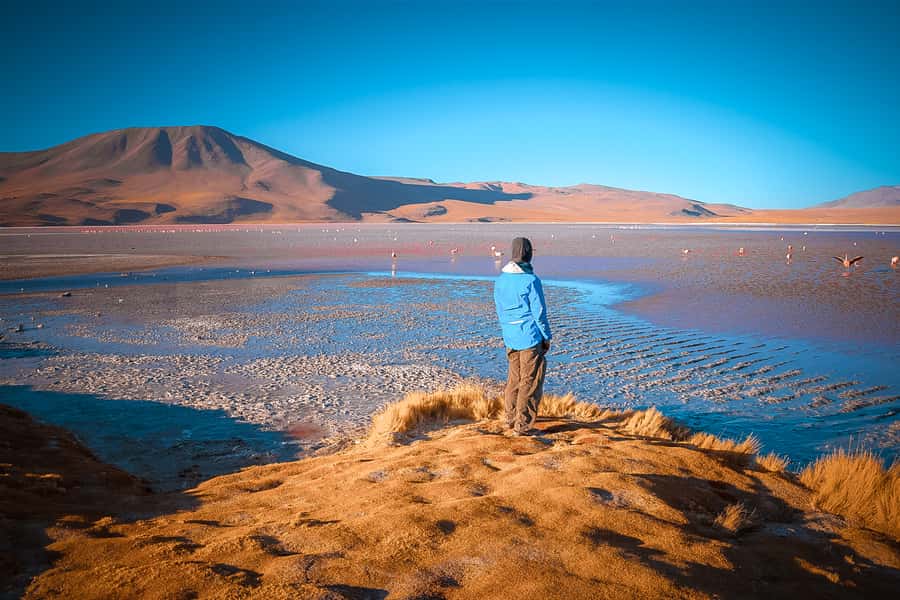 From Uyuni: 3-Day Tour to San Pedro with Salt Flats Visit - Day two: flamingos, volcanic colors, and Red Lagoon