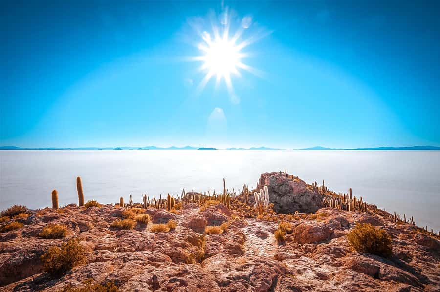 From Uyuni: Full-Day Guided Trip to Salar de Uyuni - Crossing the great white expanse