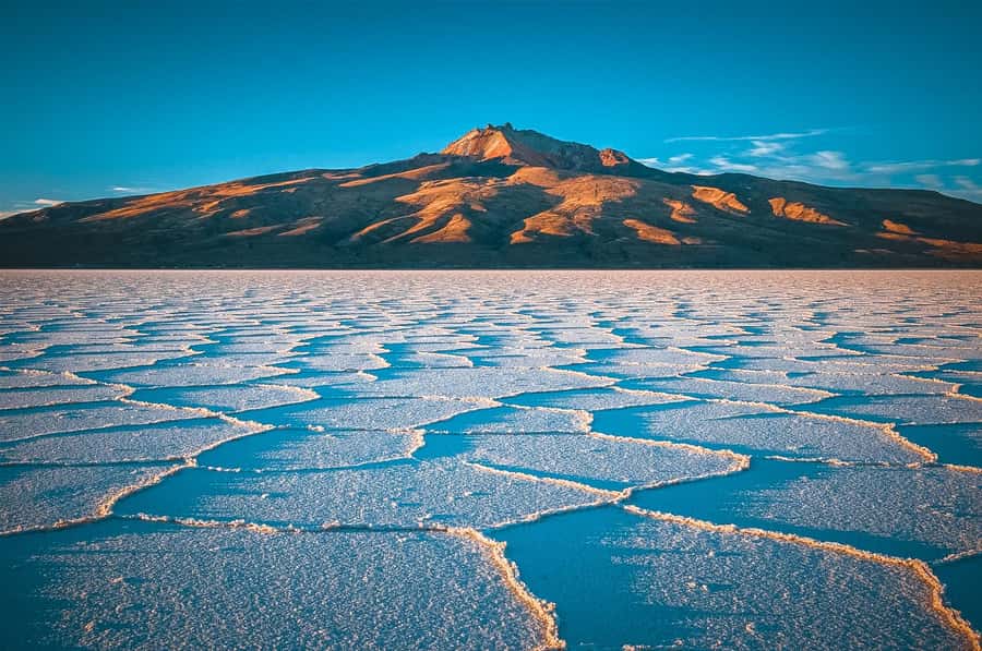 From Uyuni: Full-Day Guided Trip to Salar de Uyuni - Flags, Dakar, and the photo stops