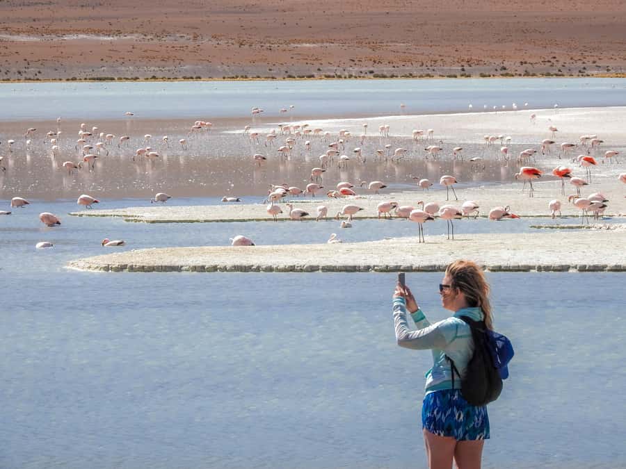 From Uyuni: Red Lagoon & Uyuni Salt Flats 3-Day Guided Tour - Key points to know before booking