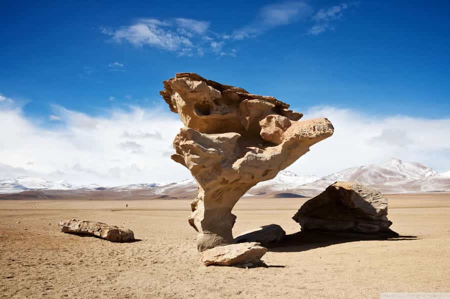 From Uyuni: Salt Flats Highlights Jeep Tour with Lunch - Entering the white expanse