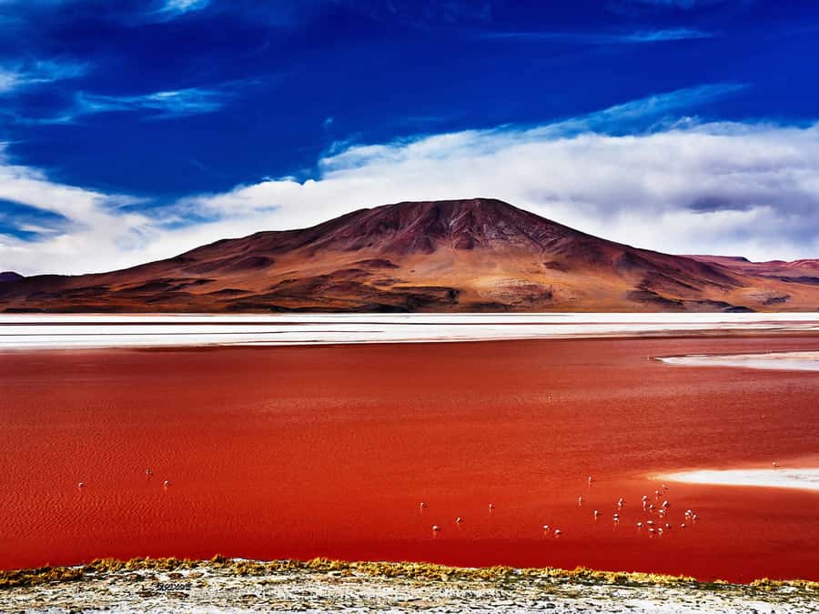 From Uyuni: Salt Flats Highlights Jeep Tour with Lunch - The famous perspective photographs