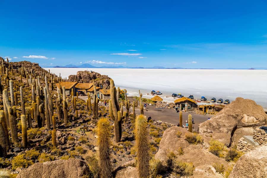 From Uyuni:Uyuni Salt Flats with Incahuasi Island |Full day| - Lunch at 1:30 p.m. on the salt flat