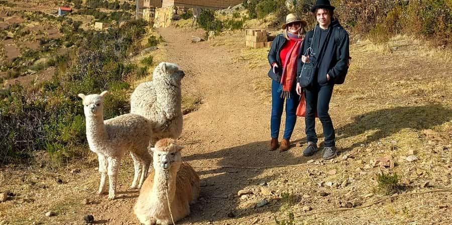 La Paz: 2-day Excursion to Lake Titicaca and Sun Island - Spending the night in a private room above the lake