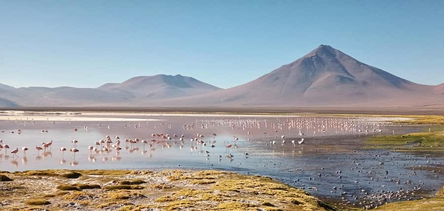 La Paz: 5-Day Uyuni Salt Flats by Bus - Who will enjoy this five-day trip most