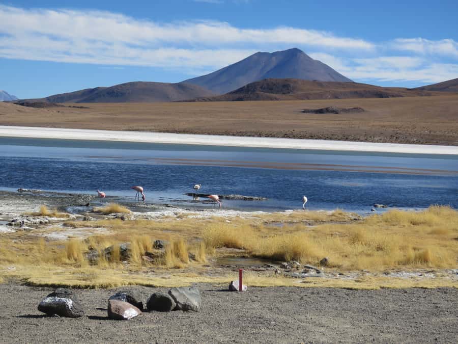 La Paz: 5-Day Uyuni Salt Flats by Bus - Should you book this Uyuni tour?