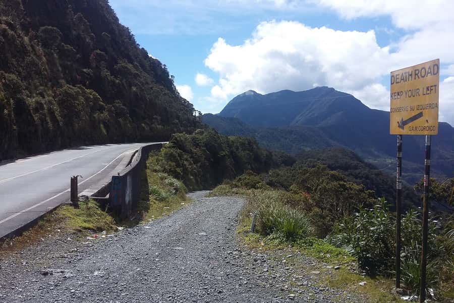 La Paz: Mountain Bike Down the World's Most Dangerous Road - Lunch and rescued animals at La Senda Verde
