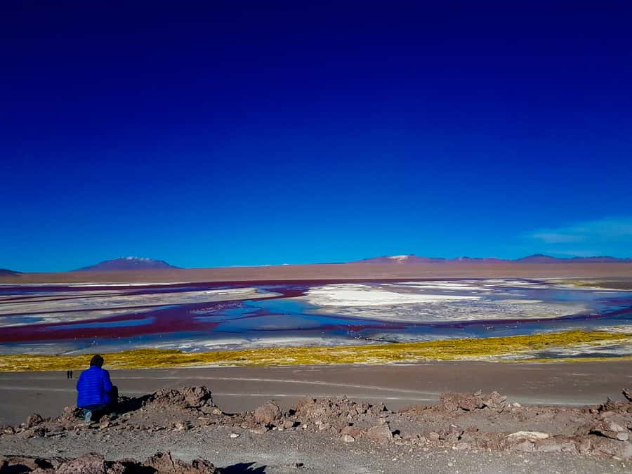La Paz: Uyuni Salt Flats & Isla Incahuasi 5-Day Bus Tour - Day two: Train Graveyard, Colchani, and the white salt plain