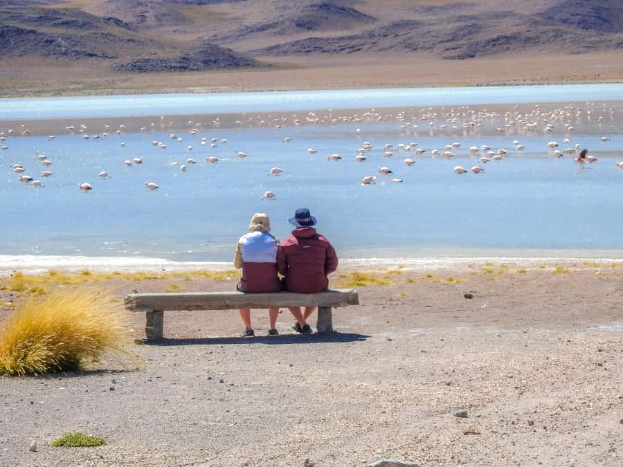 La Paz: Uyuni Salt Flats & Isla Incahuasi 5-Day Bus Tour - Day four: geysers, hot springs, and a very early start