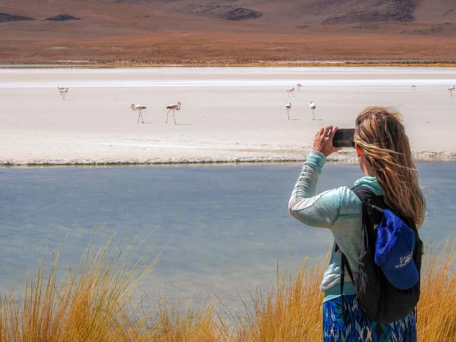 La Paz: Uyuni Salt Flats & Isla Incahuasi 5-Day Bus Tour - What the $499 price really covers