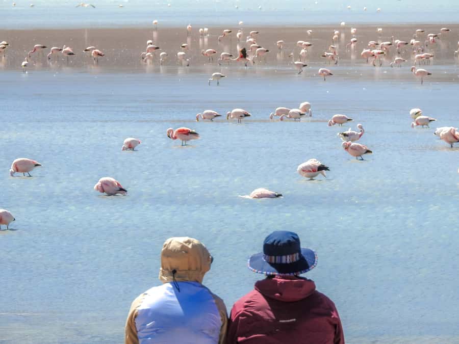 La Paz: Uyuni Salt Flats & Isla Incahuasi 5-Day Bus Tour - Who should book this trip?