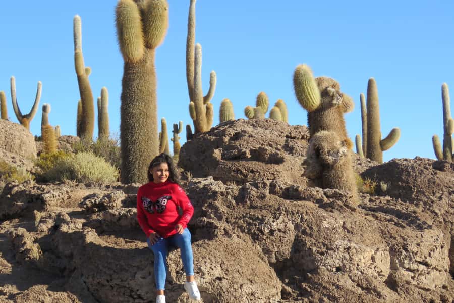 La Paz: Uyuni Salt Flats & Lagoon Share Trip (private room) - Food, rooms, and what private really means