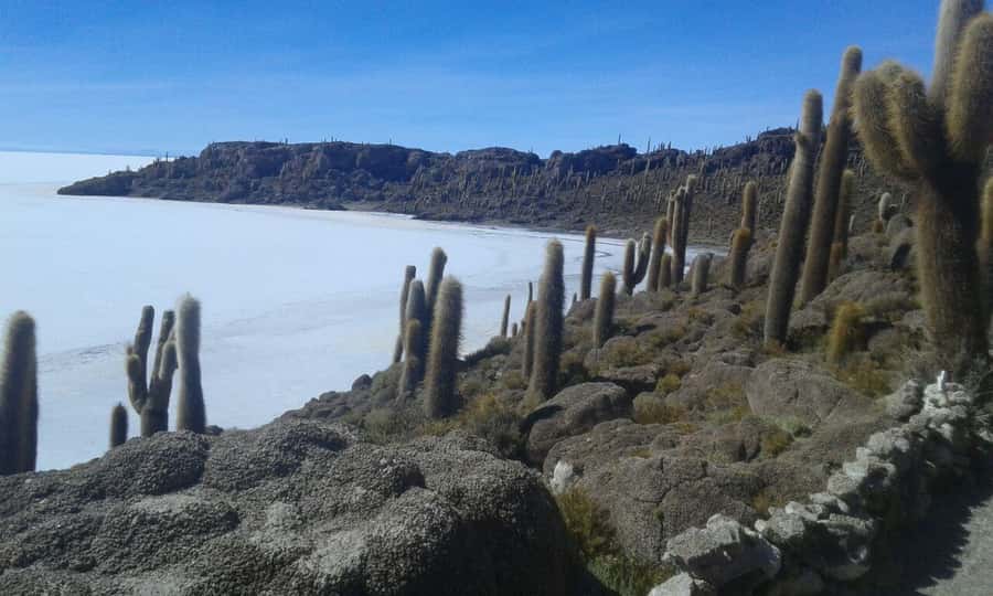 La Paz: Uyuni tour ending in Atacama Chile by bus. - Crossing from Bolivia into Chile