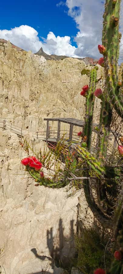 La Paz: Valle de las Animas, Moon Valley, & Killi Killi Tour - Guides are the biggest variable in the experience