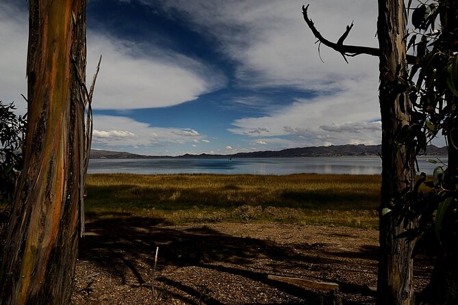Private Tiwanaku and Titicaca Day Trip from La Paz - Reed rafts and the limits of the lake visit