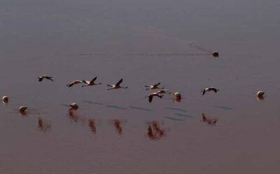 Roundtrip to the Uyuni Salt Flat and the Colored Lagoons