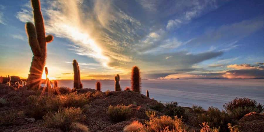 Salar de Uyuni 1 day + photo session + Sunset (English) - Colchani and the working side of salt