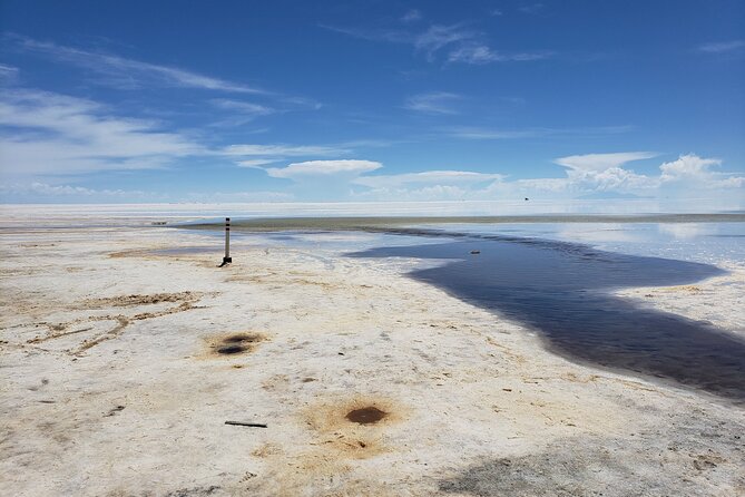 Salar de Uyuni tours 1 day - Lunch, transport, and group size