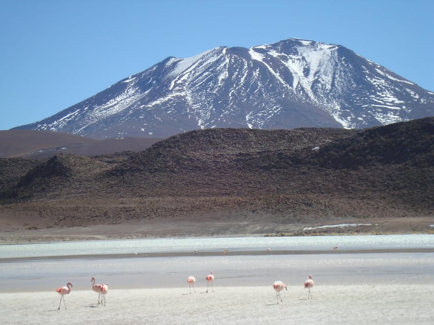 San Pedro de Atacama: 3 D. Tour Uyuni and Back to San Pedro - Day three: the train cemetery and return to San Pedro