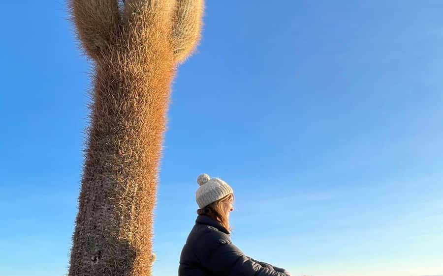 San Pedro de Atacama: 4-Day Uyuni Salt Flats Tour - Day four: the road back to San Pedro