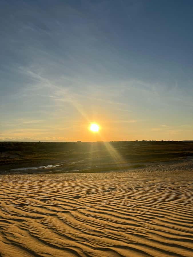 Santa Cruz: Lomas de Arena Sandboard - A four-hour outing with room to breathe