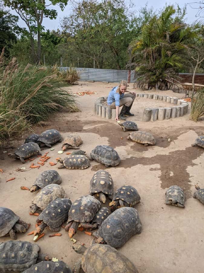 Santa Cruz: Wildlife Sanctuary and Preservation Park Tour - Why this Santa Cruz day trip feels different