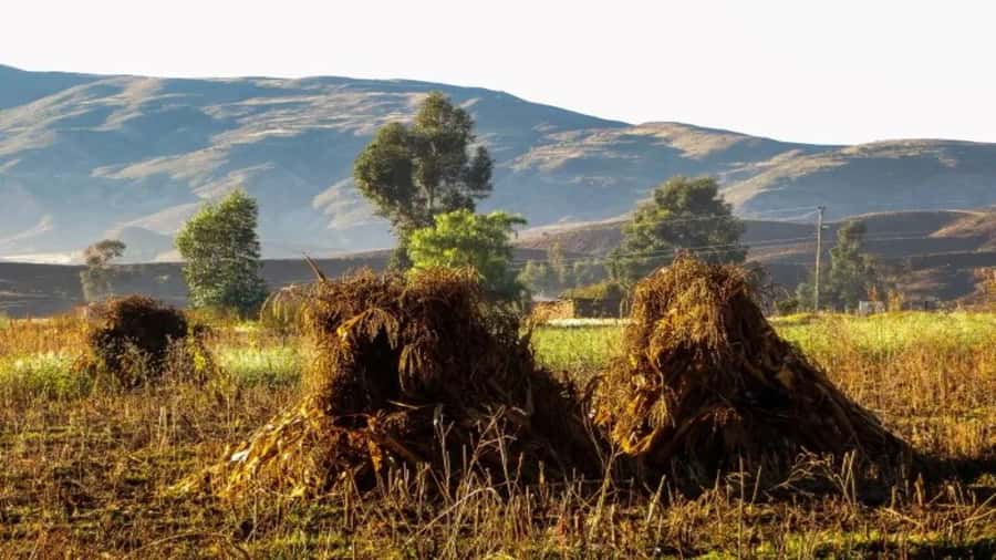 Sucre: 1-Day Trek in the Crater of Maragua and Inca Trails - Key points to know before you book