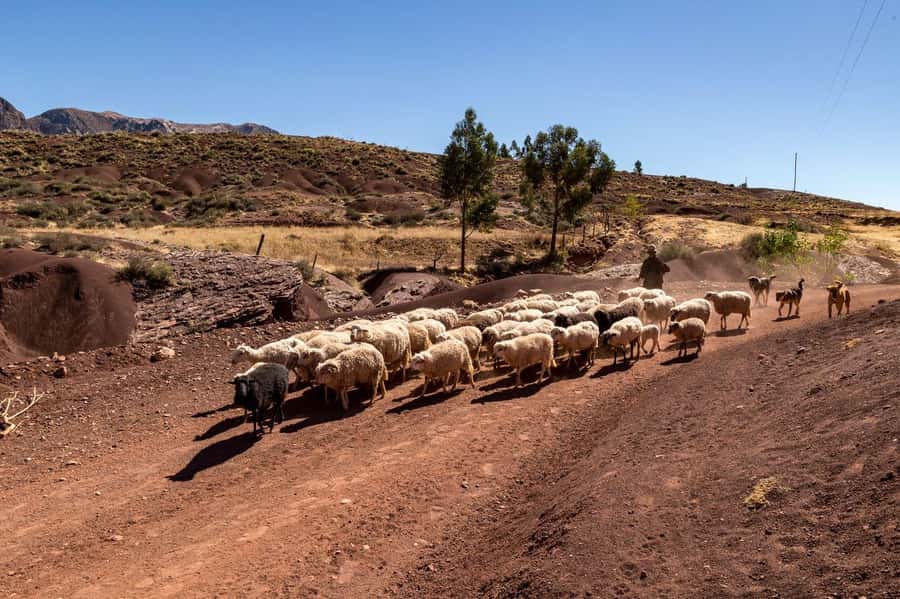 Sucre: 2 days trek in Inca Trails and the Crater de Maragua - Why Maragua Crater is worth two days