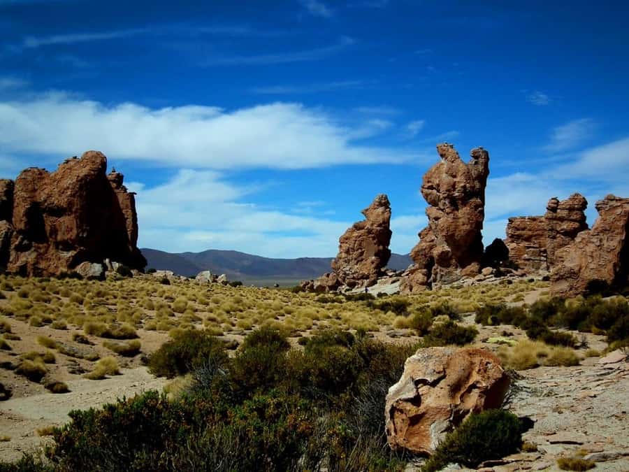 Uyuni: 2-day tour to the salt flat and altiplanic lagoons - What two days across Uyuni really give you