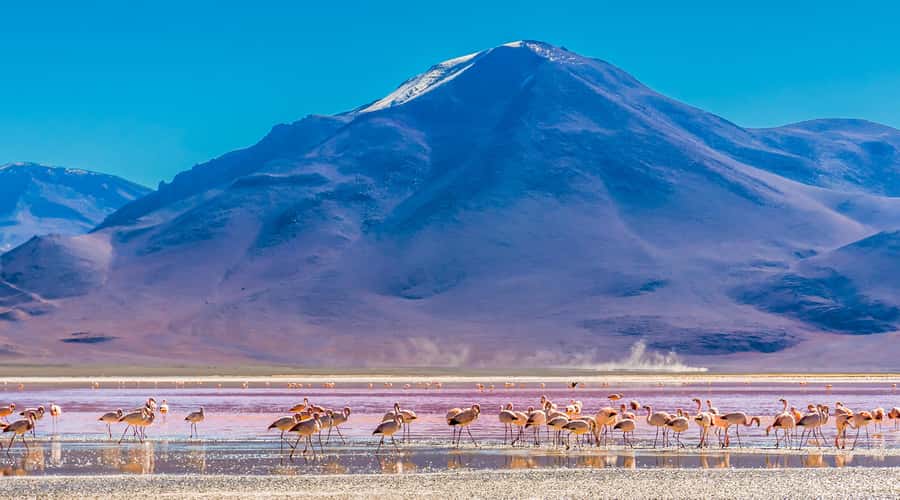 Uyuni: 3-Day Salt Flats Tour ending in San Pedro de Atacama - FAQ