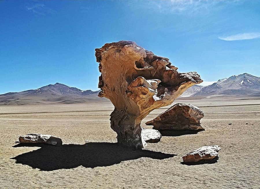 Uyuni: 3 day-tour, salt flats & surrealistic deserts - Hot springs at 4,500 meters