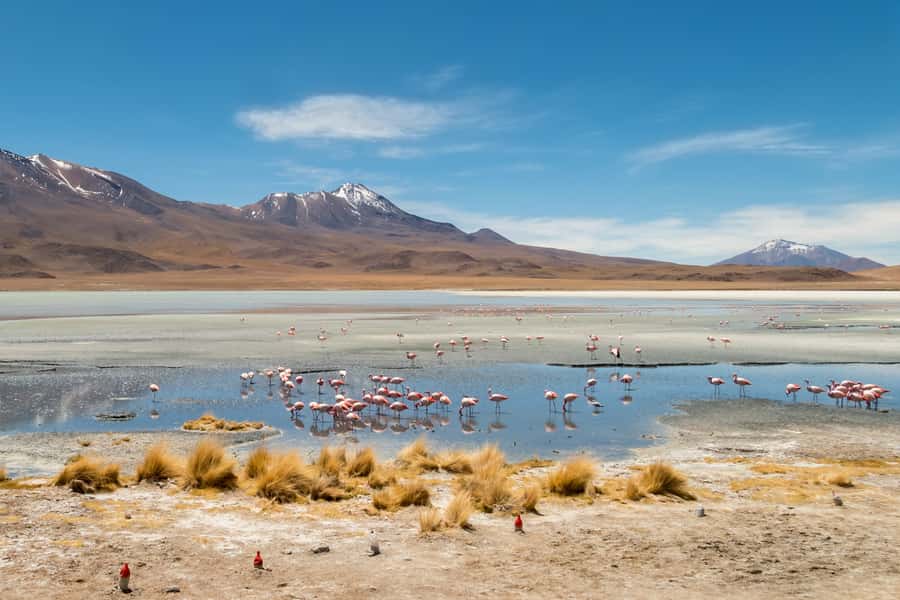 Uyuni: 3 day-tour, salt flats & surrealistic deserts - What the guide and vehicle setup mean