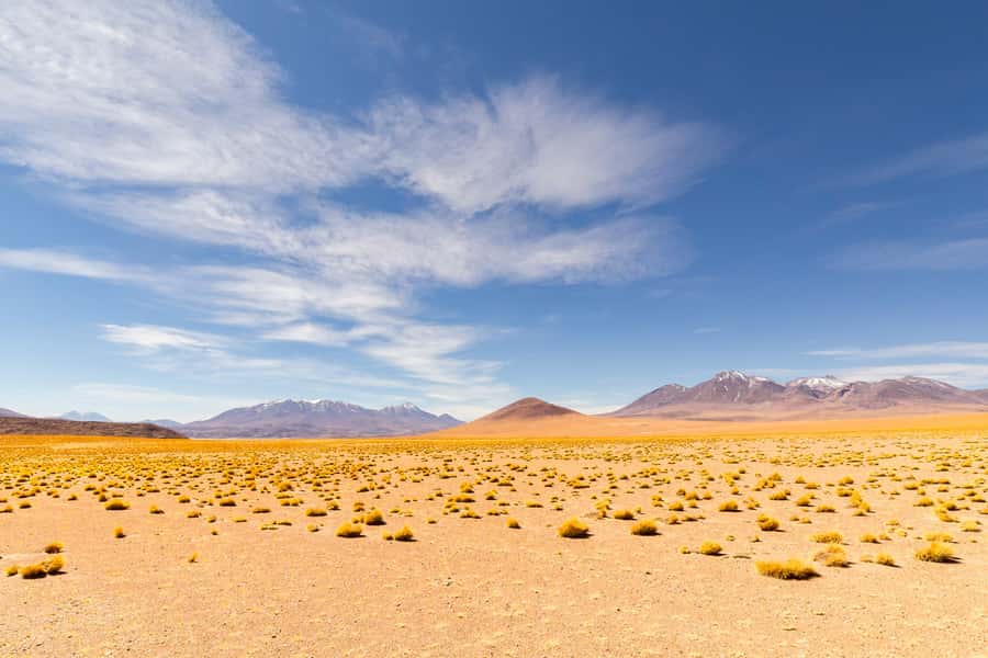 Uyuni: 3 day-tour, salt flats & surrealistic deserts - Is $437 a fair price?
