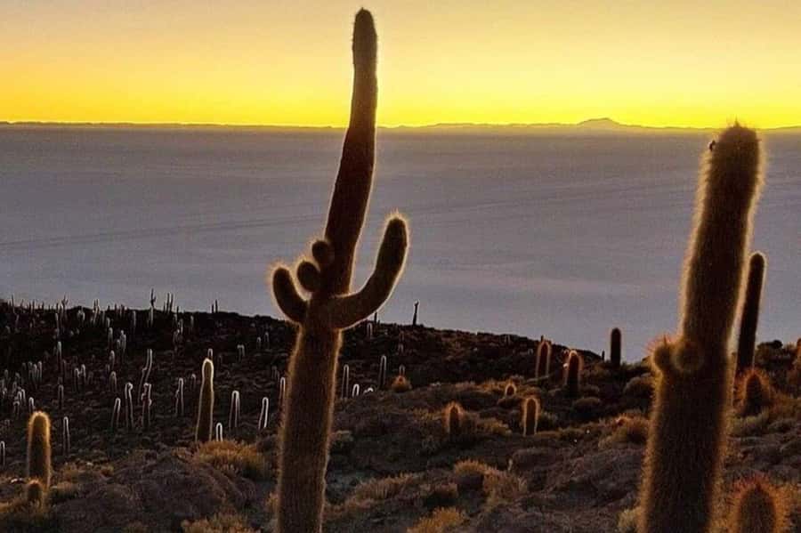 Uyuni: 3-Days Salt Flats and Desert Adventure Tour with Food - Polques hot springs and the Salvador Dali Desert