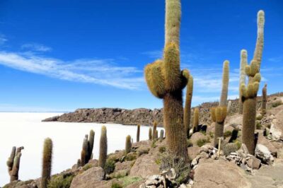 Classic Uyuni Salt Flats Tour + Hotel Pickup